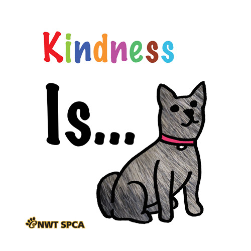 Kindness Is…